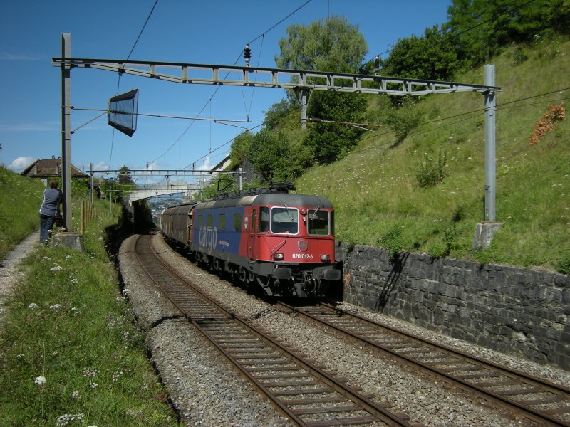 Re 6/6 mit einem Gterzug zwischen Bossire und Grandvaux am 13. August 2008