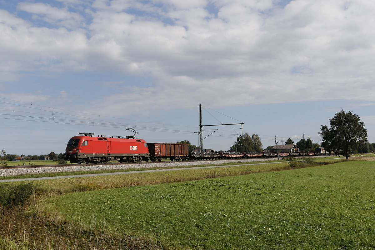 1016 013 mit einem gemischten G�terzug aus Salzburg kommend bei �bersee.