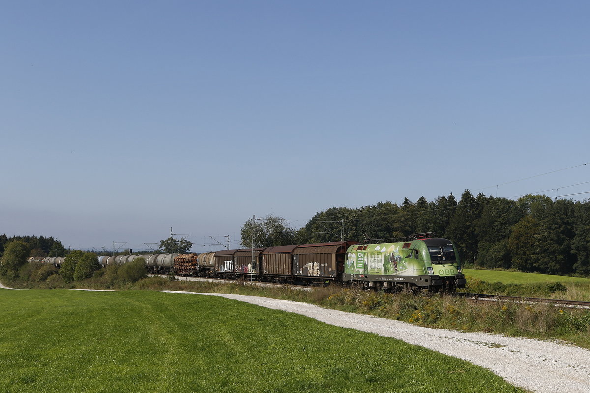 1016 020  Klimaschutz  mit einem gemischten G�terzug auf dem Weg nach Salzburg am 16. September 2018 bei Grabenst�tt.