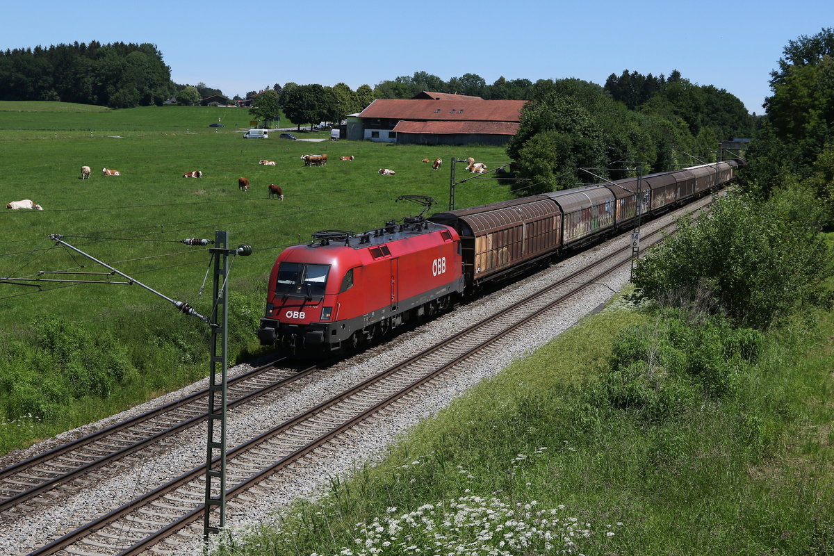 1116 105 mit einem gemischten G�terzug aus Salzburg kommend am 12. Juni 2020 kurz nach Bad Endorf.