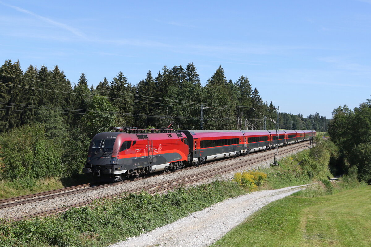 1116 204 am 2. September 2022 bei Grabenst�tt im Chiemgau.