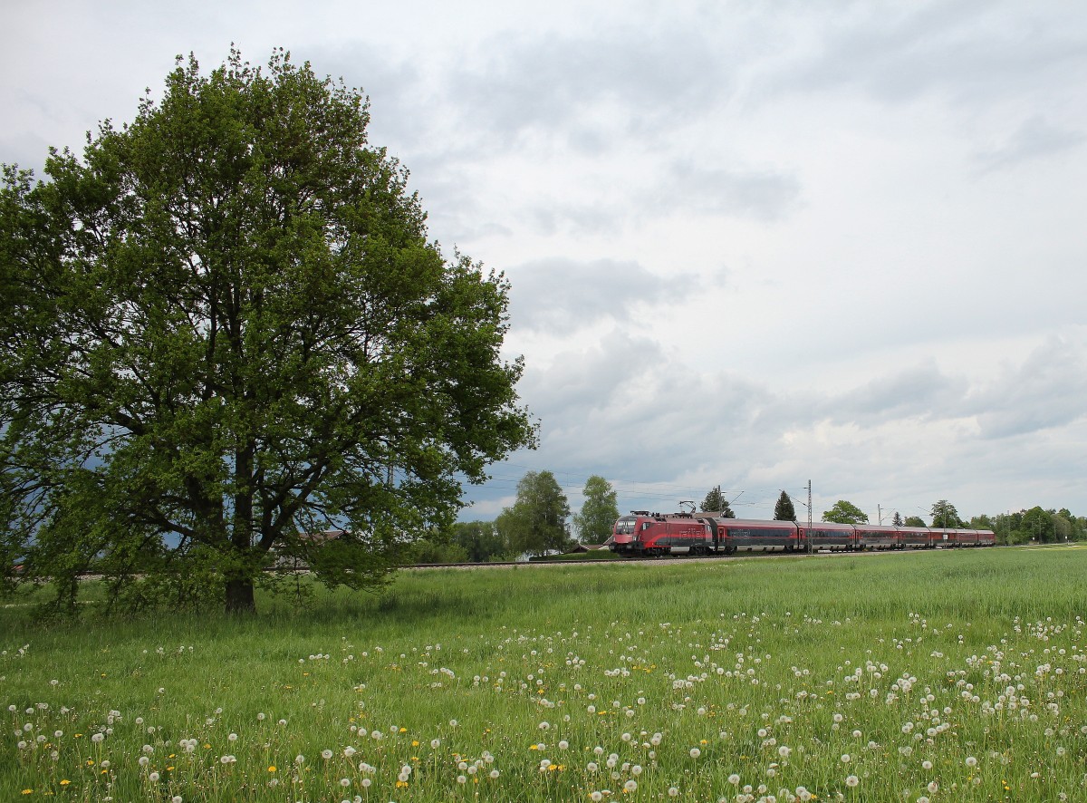 1116 214 mit einem Railjet am 9. Mai 2015 aus Salzburg kommend bei �bersee.