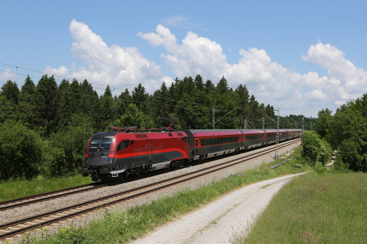1116 217 am 11. Juni 2021 bei Grabenst�tt im Chiemgau.