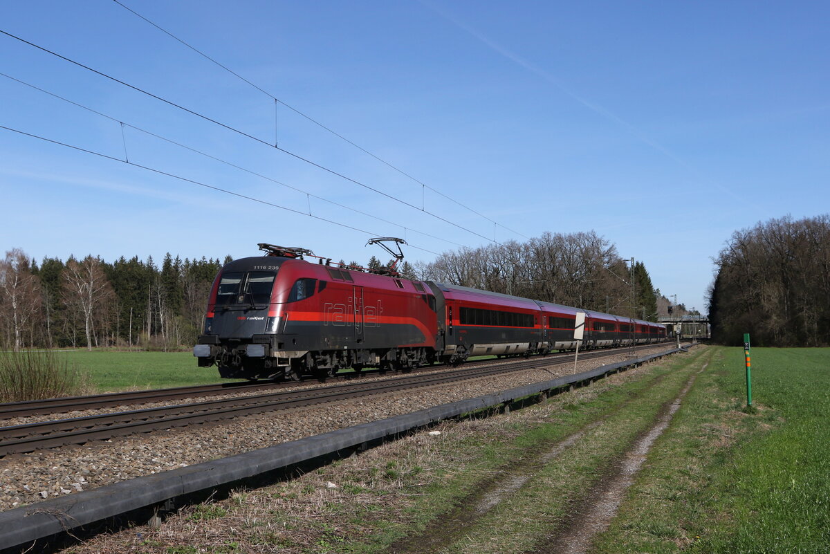 1116 239 auf dem Weg nach Innsbruck am 20. M�rz 2024 bei Brannenburg im Inntal.