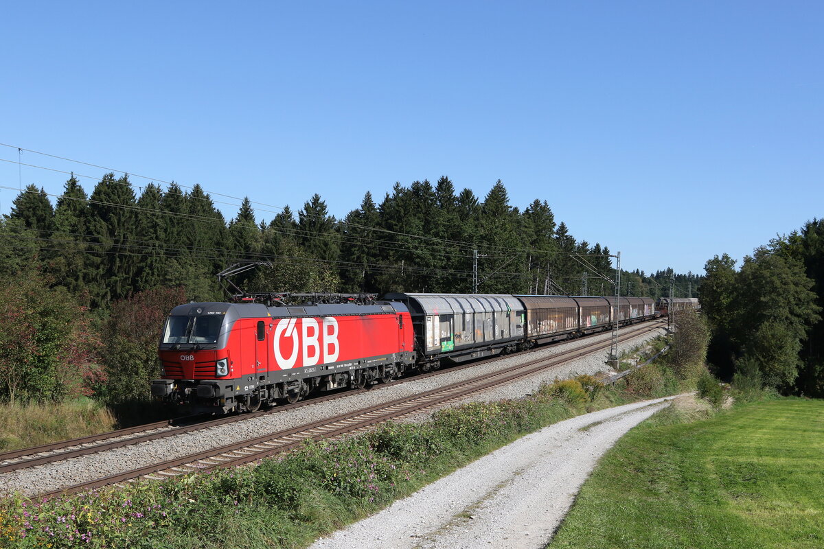 1293 193 mit einem gemischten G�terzug aus Salzburg kommend am 25. September 2021 bei Grabenst�tt.