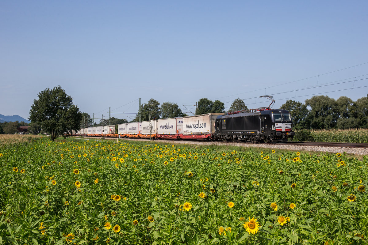 193 659 war am 26. August 2017 mit dem  Ekol -Zug bei �bersee in Richtung Salzburg unterwegs.