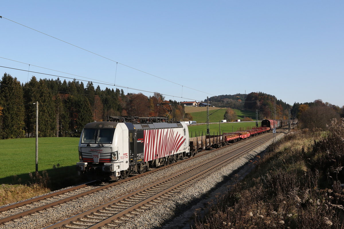 193 775 mit einem gemischten G�terzug am 9. November 2020 bei Grabenst�tt.