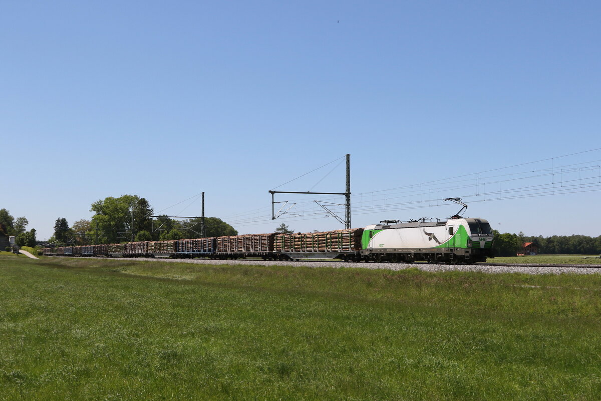 193 814 mit einem  Holzzug  aus M�nchen kommend am 1. Juni 2021 bei �bersee am Chiemsee.