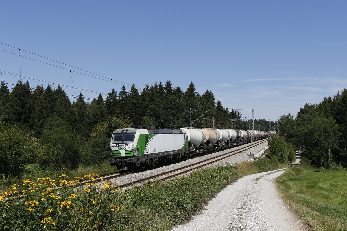 193 814 mit einem Schlammkreidezug am 12. August 2018 bei Grabenst�tt.