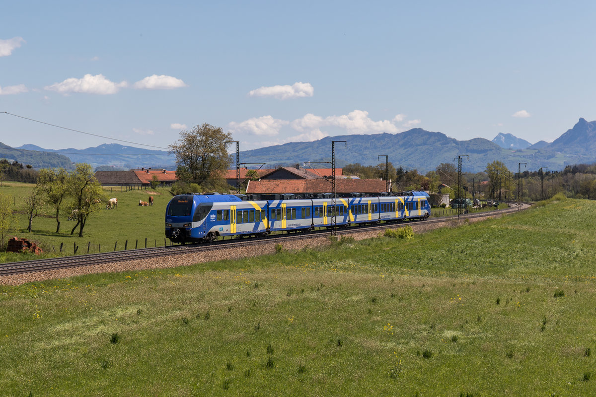ET 303 war am 29. April 2016 bei Stra� von Freilassing nach M�nchen unterwegs.