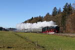 001 180 des  Bayerischen Eisenbahn-Museum  aus N�rdlingen war am 30.