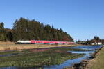 218 446 mit einem Regionalzug aus M�nchen kommend am 21.