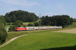 101 100 mit dem  IC K�nigssee  aus Freilassing kommend am 13. Juni 2025 bei Vachendorf.