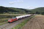 145 076-6 mit einem gemischten G�terzug am 19.