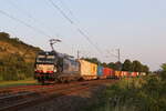 193 609 mit einem Containerzug aus W�rzburg kommend am 23.