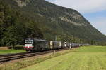 193 662 und 193 777 mit einem  KLV  am 9.