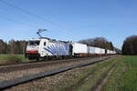 186 442 war mit einem  KLV  am 20. M�rz 2024 bei Brannenburg in Richtung Kufstein unterwegs.