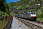 186 110 und 485 008 s�dw�rts fahrend am 24.