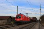1016 010-9 mit einem G�terzug am 9.