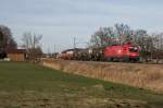 1016 044-0 war mit einem gemischten G�terzug am 11.
