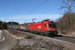 1016 049 mit einem gemischten G�terzug aus M�nchen kommend am 24.