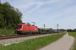 1016 015 mit einem gemischten G�terzug auf dem Weg nach Salzburg.
