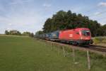 1116 194-2 mit dem  Walter-Zug  aus M�nchen kommend am 25.