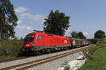 1116 130 mit einem G�terzug aus Salzburg kommend am 5.
