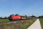 1116 051 auf dem Weg nach M�nchen am 11.
