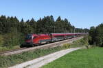 1116 208  Eine neue �ra hat begonnen  am 12.