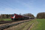 1116 222 war am 20.