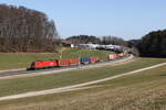 1116 103 mit einem Containerzug aus Salzburg kommend am 7.