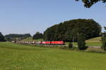 1116 151 und 1293 097 mit einem gemischten G�terzug aus M�nchen kommend am 12.