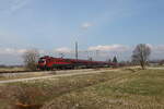 1116 156 war am 4.