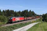 1293 192 mit einem gemischten G�terzug am 2.
